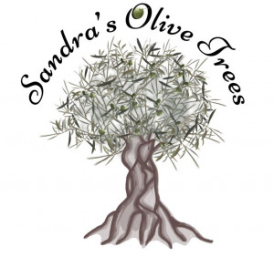 Sandra’s Olive Trees